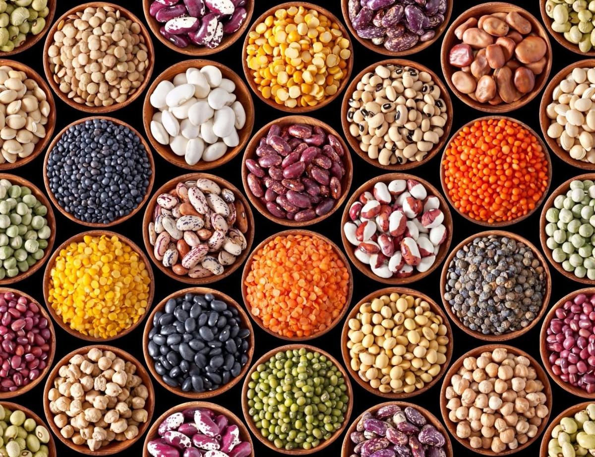 social beans