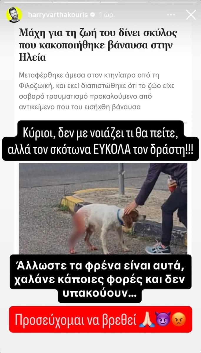 Βαρθακούρης: «Πυρ και μανία» για την κτηνωδία με τα βασανιστήρια σε σκύλο στην Ηλεία - Tα πολύ σκληρά του λόγια 1 varthakouris kakopoiisi skylou ileia.jpg