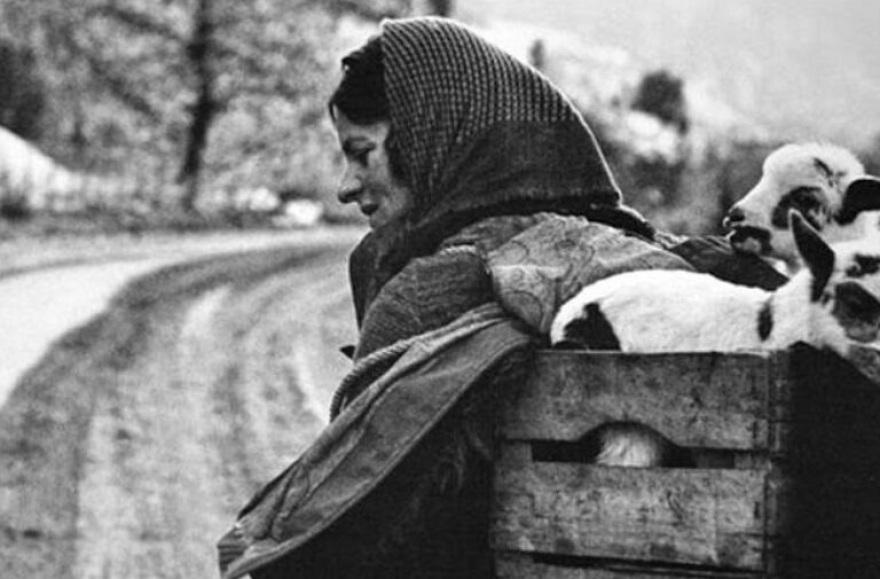 Οι γυναίκες της Πίνδου και η μεγάλη προσφορά τους στον Ελληνοϊταλικό Πόλεμο 6 Οι γυναίκες της Πίνδου και η μεγάλη προσφορά τους στον Ελληνοϊταλικό Πόλεμο (1940-1941)