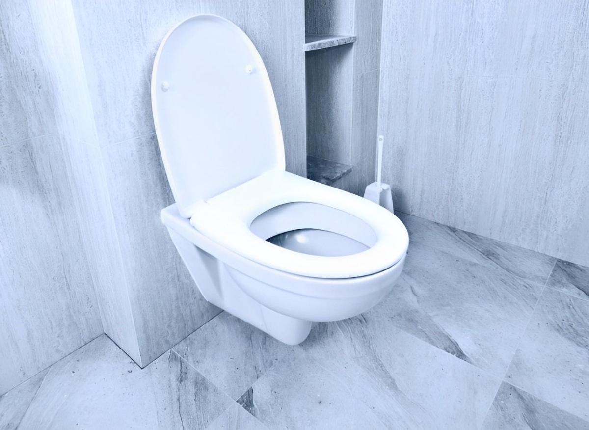 Το κóλπο που κάνουν στα ξενοδοχεία για να μυρίζει πάντα ωραία η τουαλέτα: Ρίξτε αυτό το μείγμα στη λεκάνη σας 3 444 4