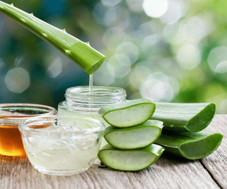 8 μαγικά φίλτρα νεότητας που ήξεραν οι γιαγιάδες μας 6 1a3254ab677ce403c62f1c4c50064a6b