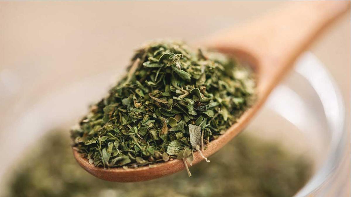 Auτό oregano
