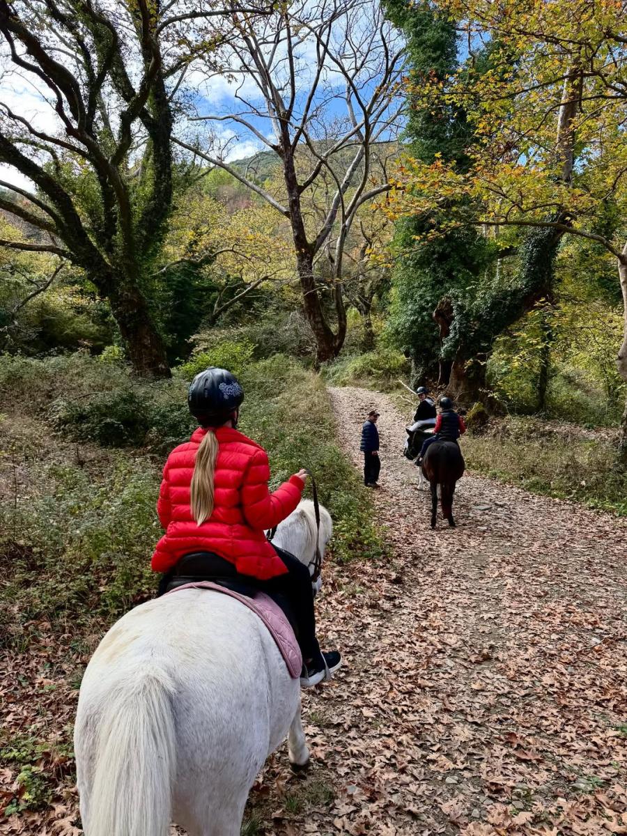 Ελένη Μενεγάκη: Για ιππασία στην πιο μαγική ελληνική τοποθεσία μαζί με την Μαρίνα και τον Παντζόπουλο 3 2 3