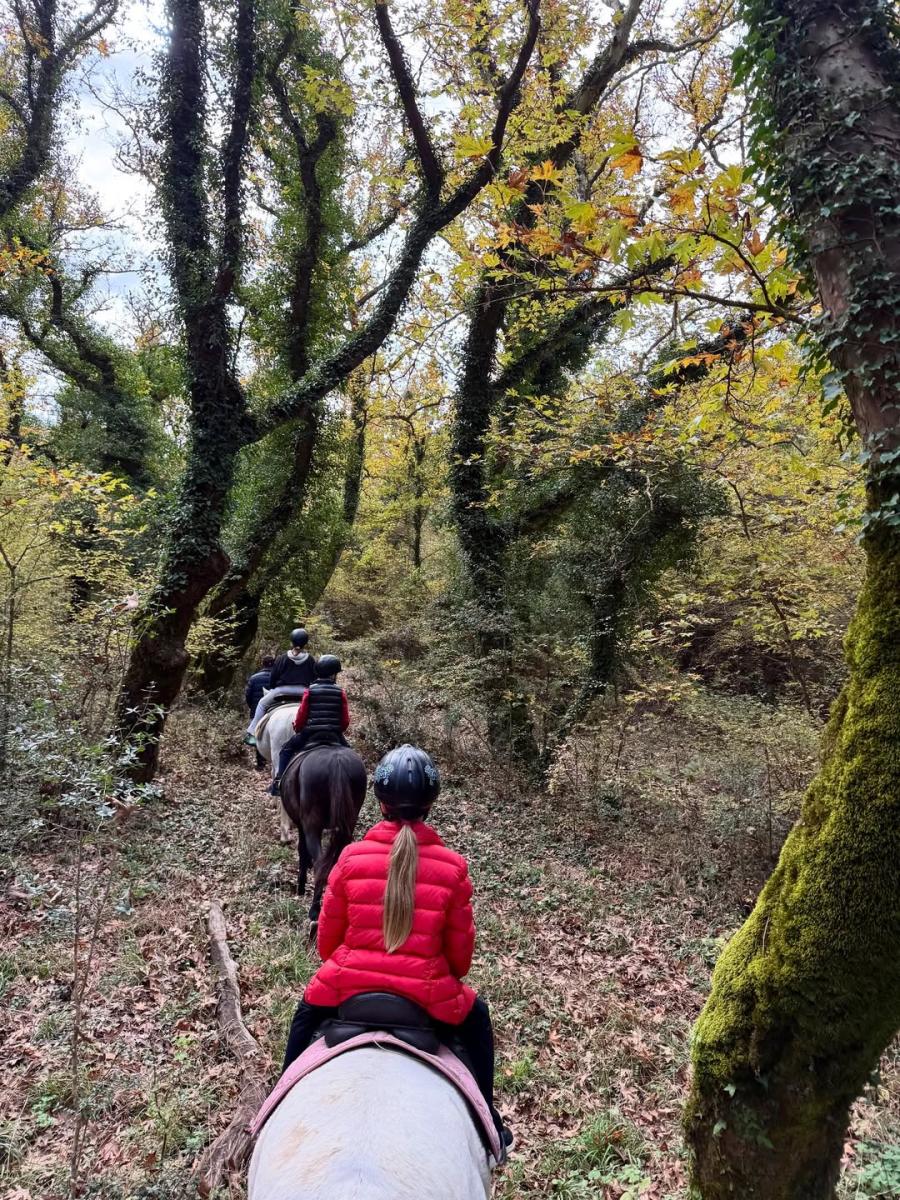 Ελένη Μενεγάκη: Για ιππασία στην πιο μαγική ελληνική τοποθεσία μαζί με την Μαρίνα και τον Παντζόπουλο 4 11
