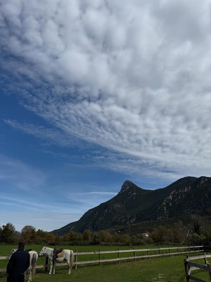 Ελένη Μενεγάκη: Για ιππασία στην πιο μαγική ελληνική τοποθεσία μαζί με την Μαρίνα και τον Παντζόπουλο 8 4 3