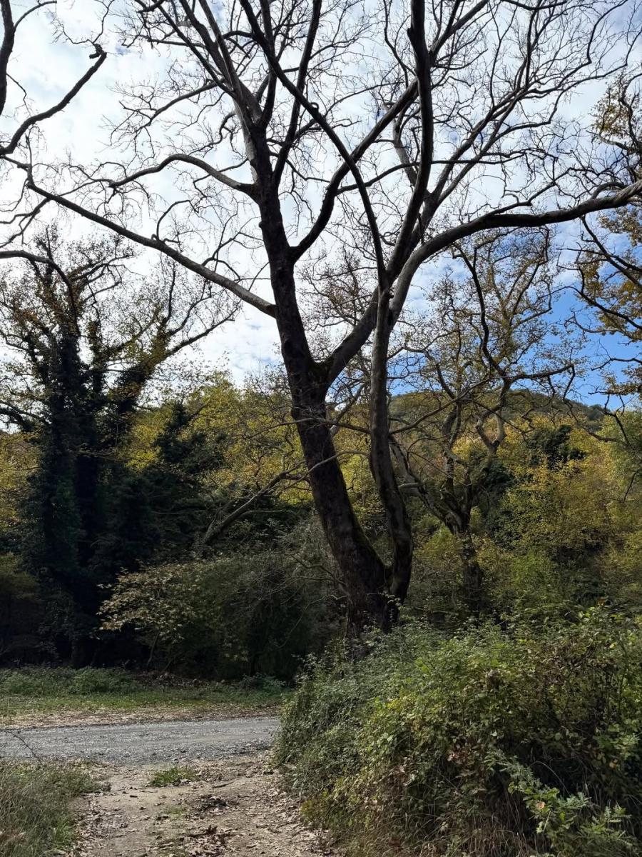 Ελένη Μενεγάκη: Για ιππασία στην πιο μαγική ελληνική τοποθεσία μαζί με την Μαρίνα και τον Παντζόπουλο 9 5 1