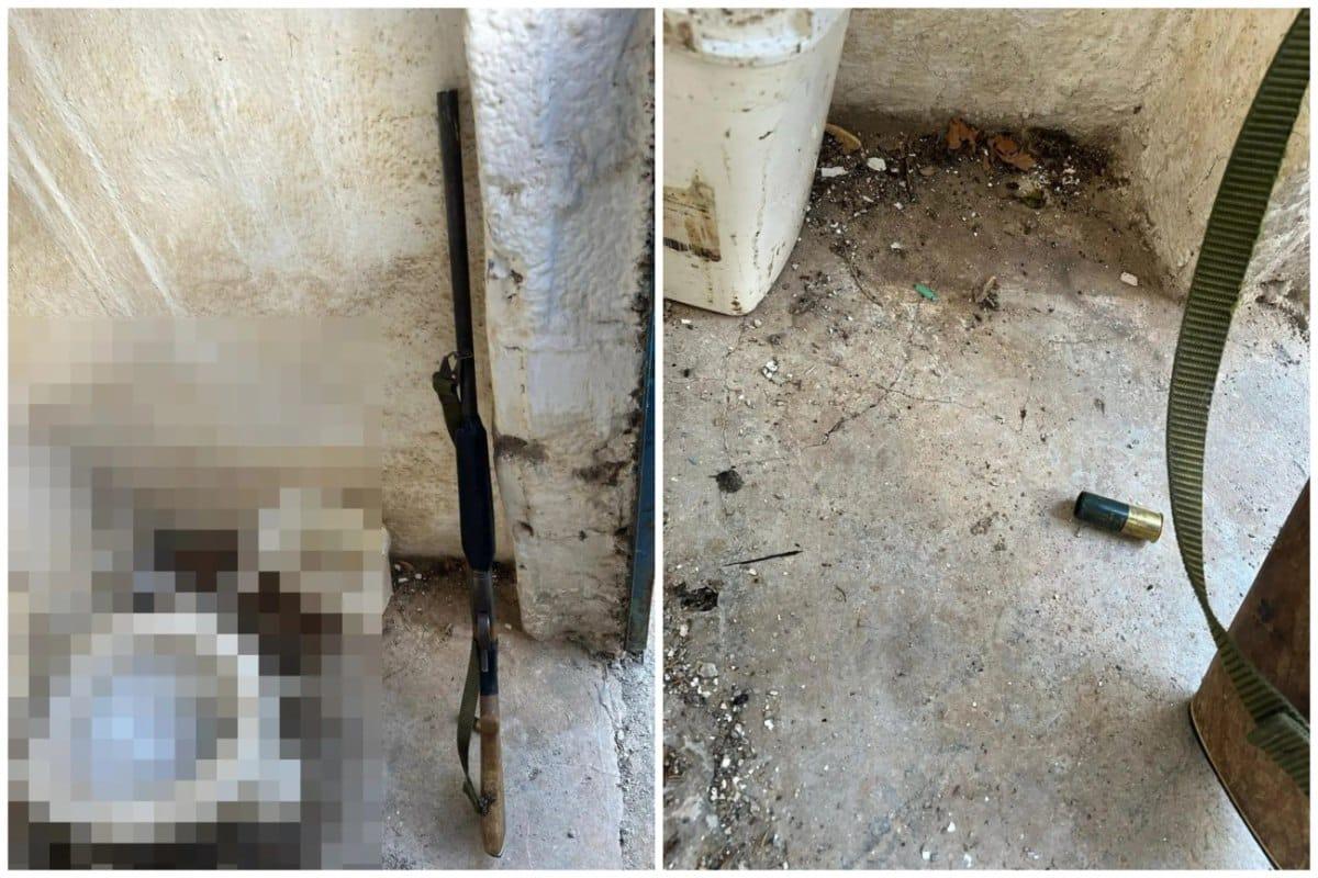 fotojet 5 1200x800 1