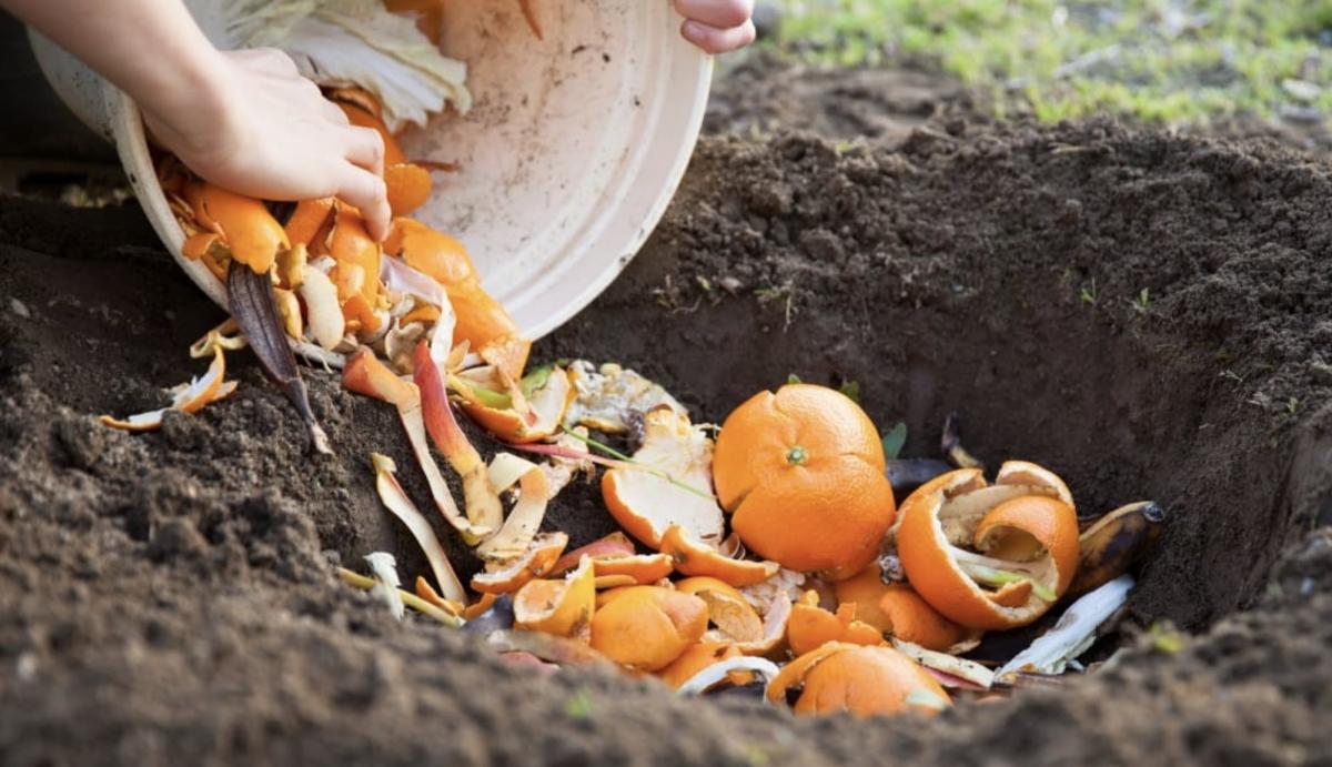 stigmiotypo othonis 2025 08 31 02.07.43