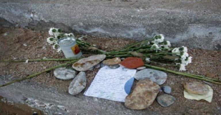 01 696x399 768x399 1