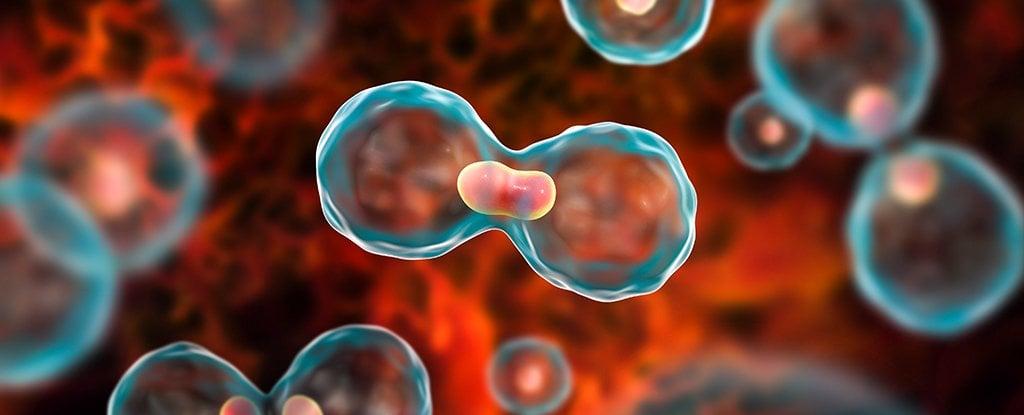 Οι 6 καρκίνοι με τη χειρότερη πρόγνωση – Ένας χρόνος το προσδόκιμο επιβίωσης για το 58% των ασθενών 1 cancer topic 1024