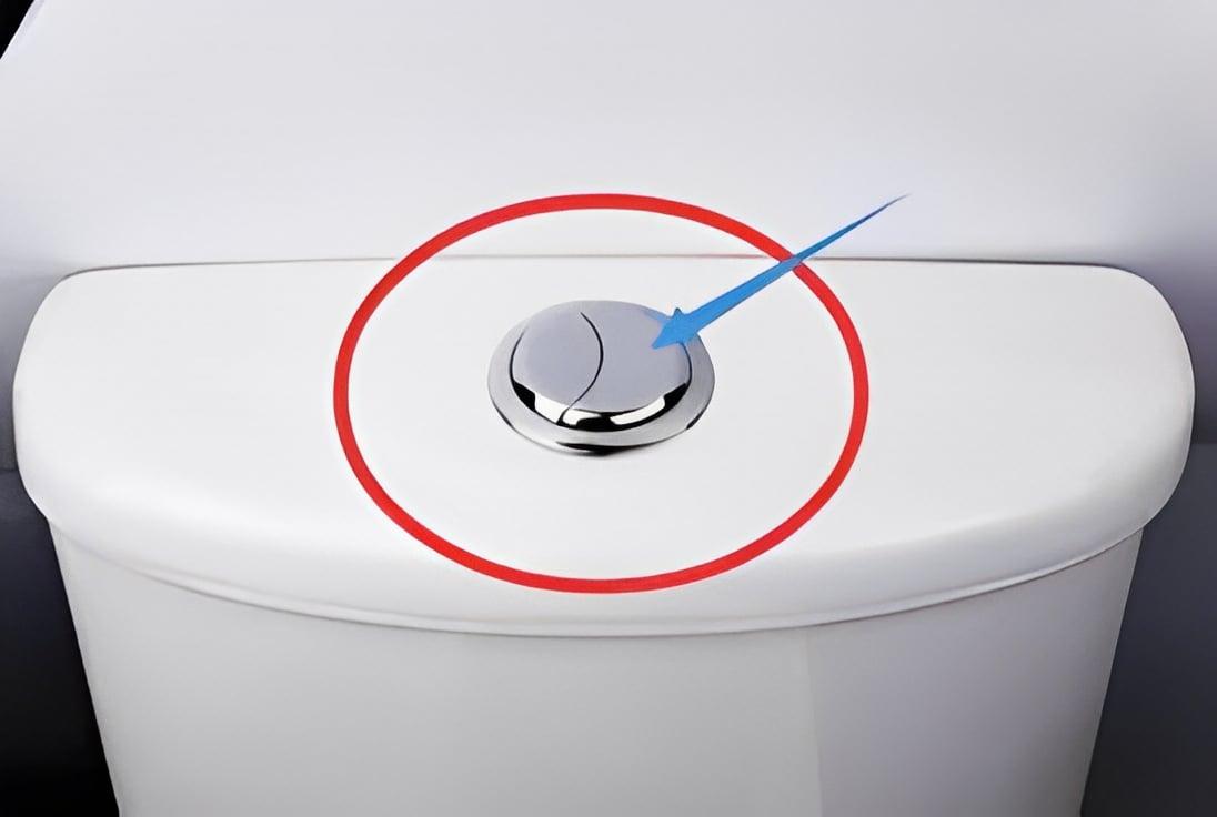 Πολλοί άνθρωποι νομίζουν ότι αυτά τα δυο κουμπιά στο καζανάκι κάνουν το ίδιο πράγμα 3 4545