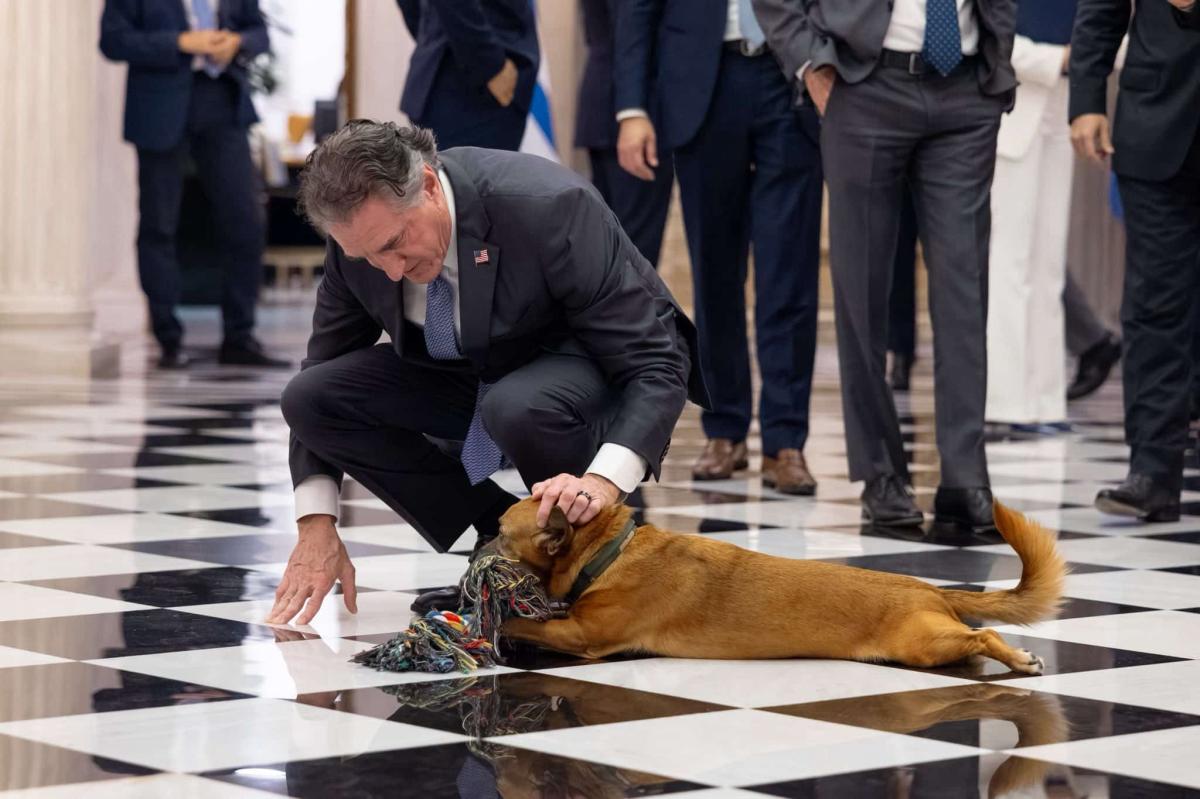 Έκλεψε την παράσταση ο Πίνατ στο Μαξίμου - Η εικόνα που ανήρτησε Υπουργός Εσωτερικών των ΗΠΑ 1 g5a