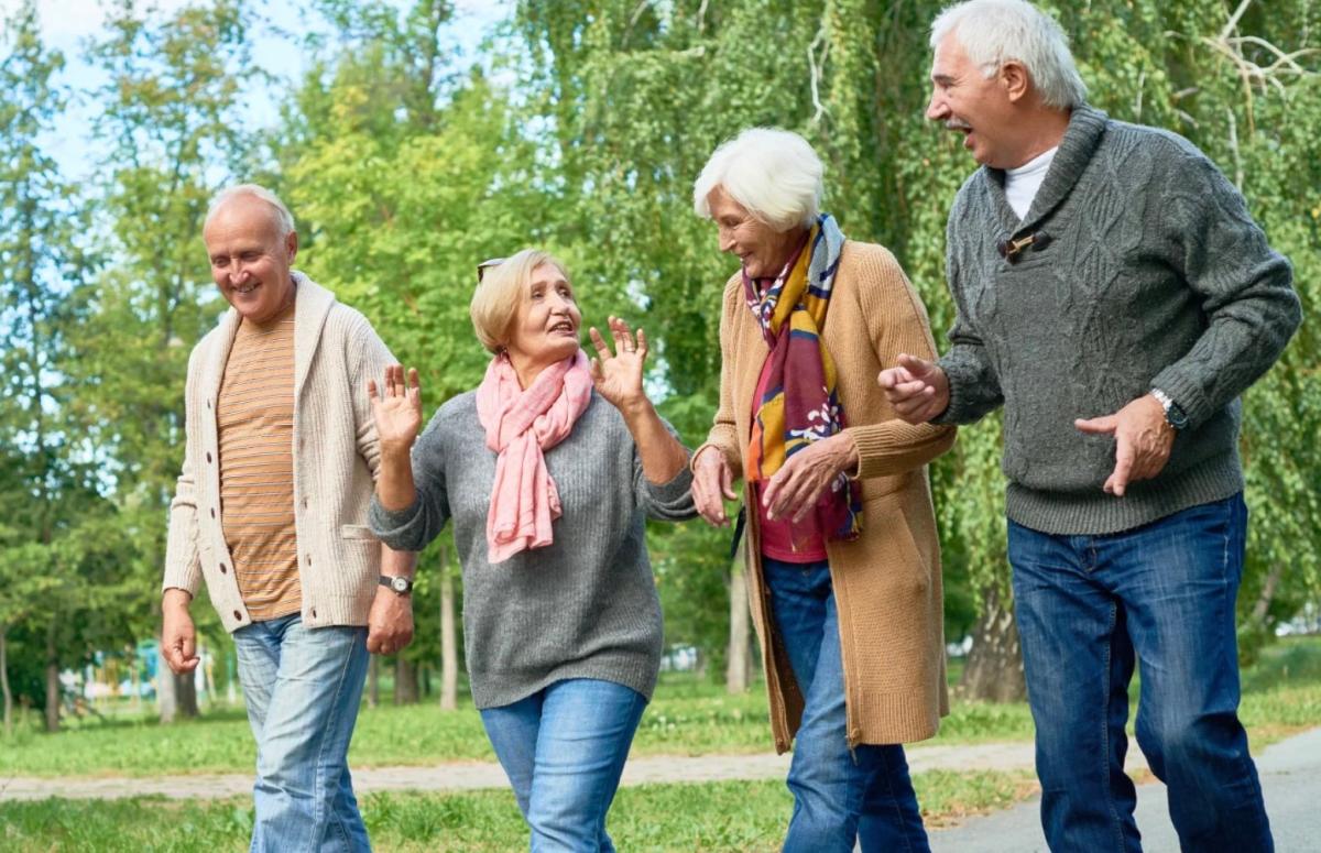 5 πράγματα που οι ηλικιωμένοι πρέπει να χρησιμοποιούν αντί για την οικογένεια για να έχουν υγεία, γαλήνη και ευτυχία 2 stigmiotypo othonis 2025 11 06 21.57.31