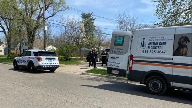 aa64fc5e76f04dd2b6658c6245c3601b