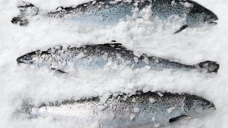 3 γρήγοροι και αποτελεσματικοί τρόποι για να ξεπαγώσετε τα ψάρια 1 intro 1755208930