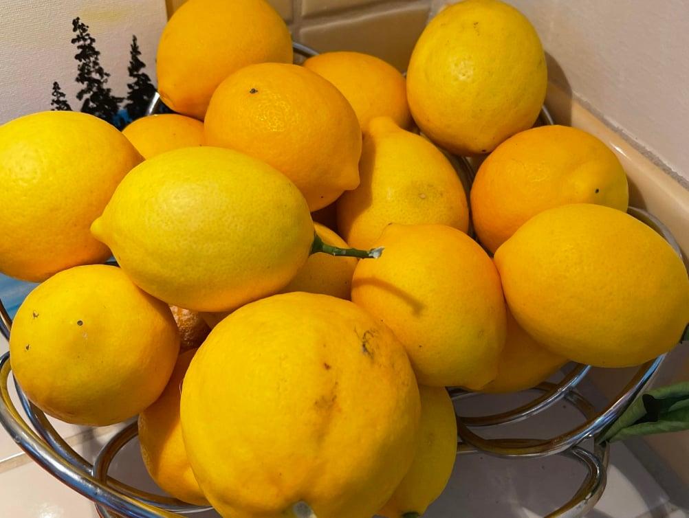 Πώς να διατηρήσετε τα λεμόνια φρέσκα για μεγάλο χρονικό διάστημα 5 stigmiotypo othonis 2025 09 18 02.05.06