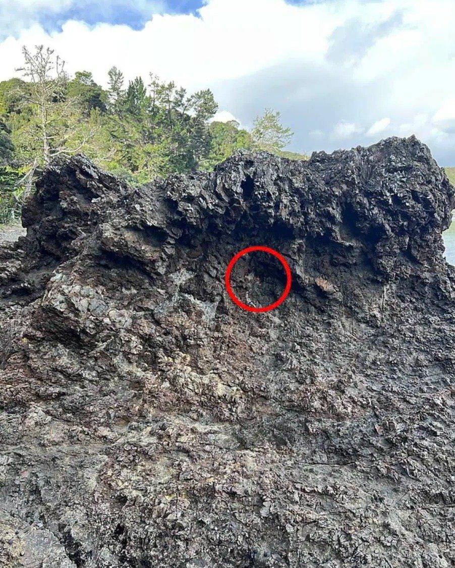 daughter rocks.jpg 11zon