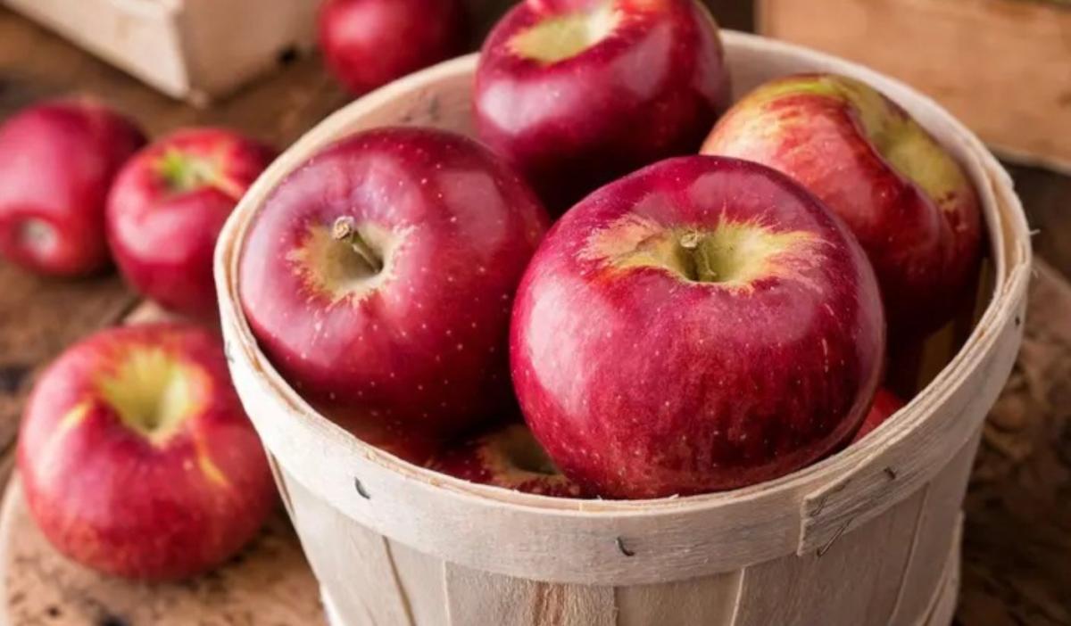 Οι γιατροί αποκαλύπτουν ότι η κατανάλωση μήλων προκαλεί… 2 stigmiotypo othonis 2025 11 12 15.27.47