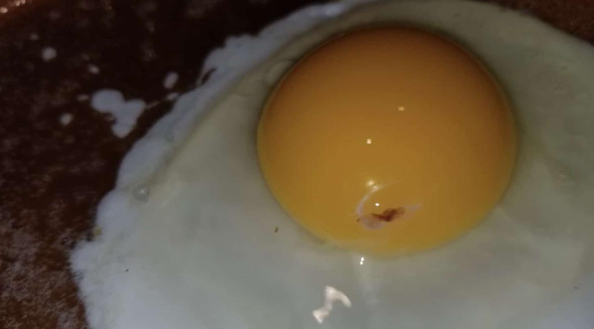 stigmiotypo othonis 2025 11 13 01.28.14