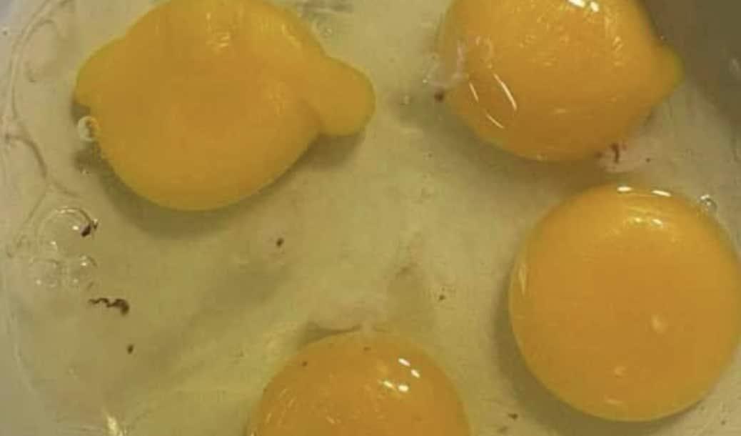 stigmiotypo othonis 2025 11 13 01.26.39