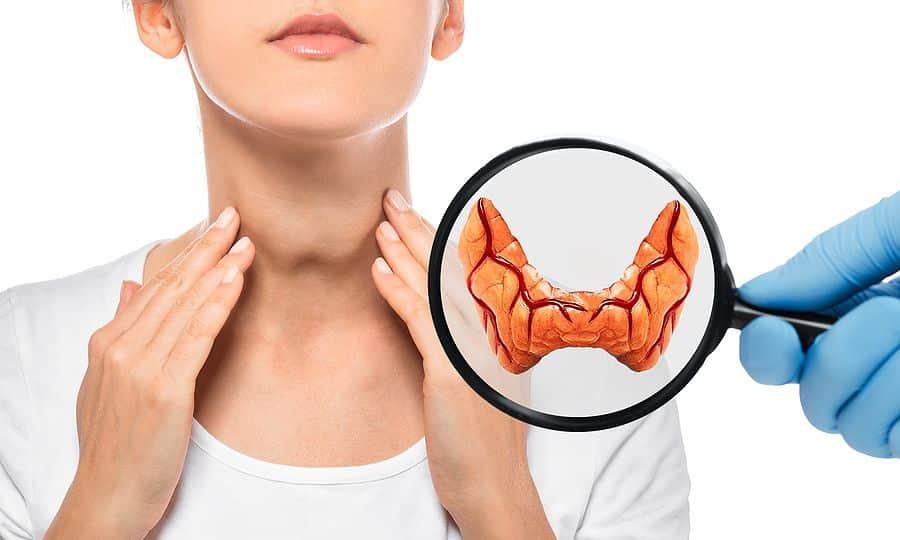 Τον τρως και… δυναμώνεις: Ο εξωτικός καρπός που λατρεύει ο θυρεοειδής – Προστατεύει την καρδιά και «ξυπνά» το μυαλό 2 thyreoeidis