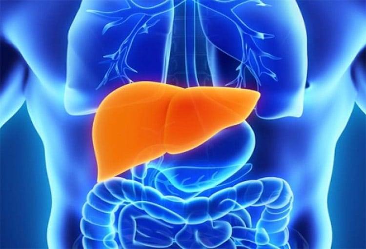 Λίπος στο συκώτι: Τι να τρώτε για να το μειώσετε χωρίς φάρμακα -Τροφές που πρέπει να αποφεύγετε 3 sykoti