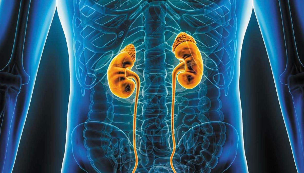 Κρεατινίνη: stigmiotypo