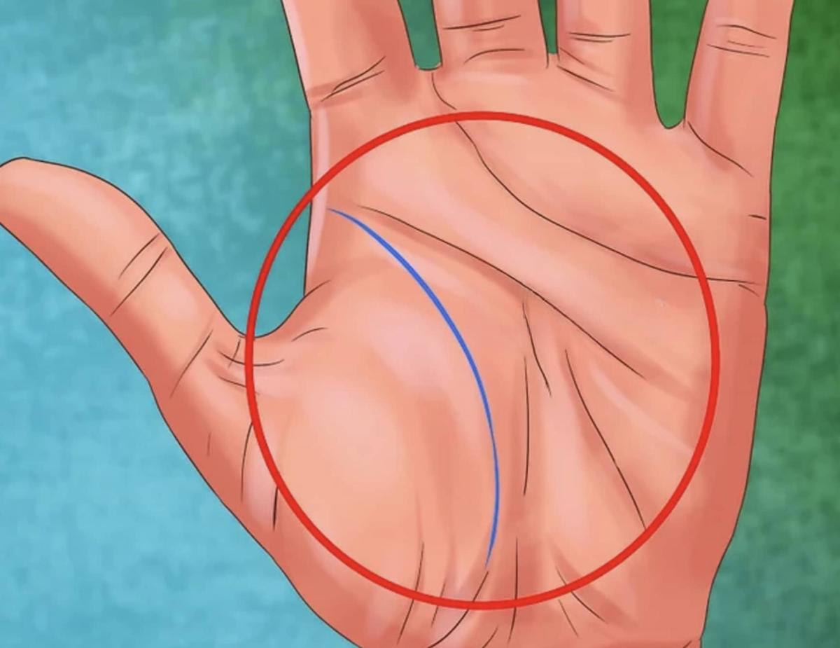 Τι σημαίνει όταν σχηματίζεται το γράμμα «Μ» στην παλάμη σας 5 stigmiotypo othonis 2025 09 15 21.31.24