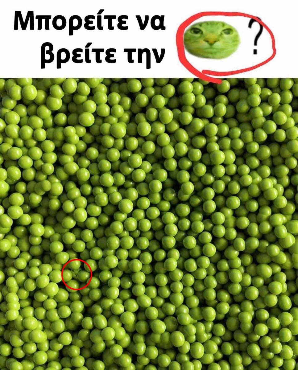 Μπορείτε να βρείτε που βρίσκεται η γάτα κρυμμένη ανάμεσα στα μπιζέλια 2 22 6