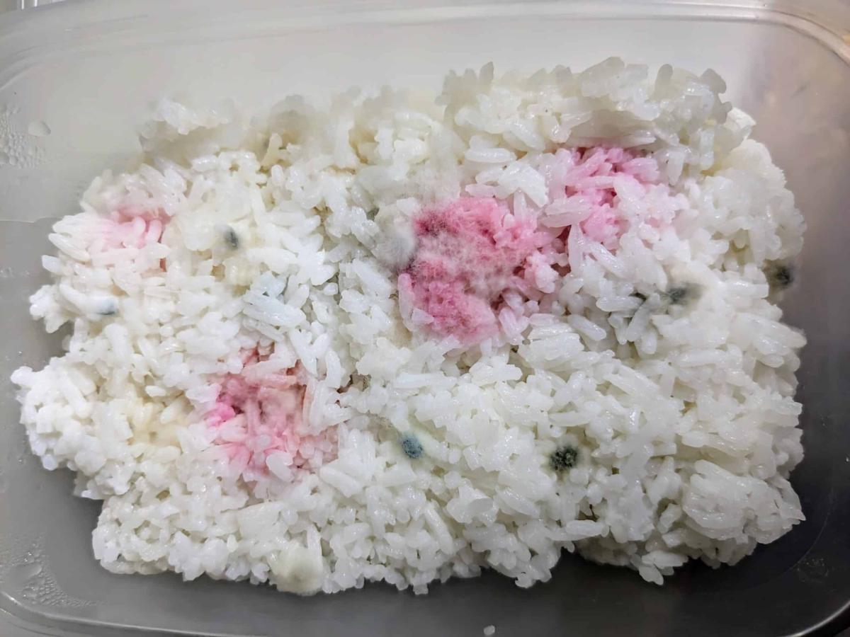 Όλοι πρέπει να προσέχουν όταν ζεσταίνουν ξανά κρύο ρύζι 3 9xnbxi0ptssd1 scaled