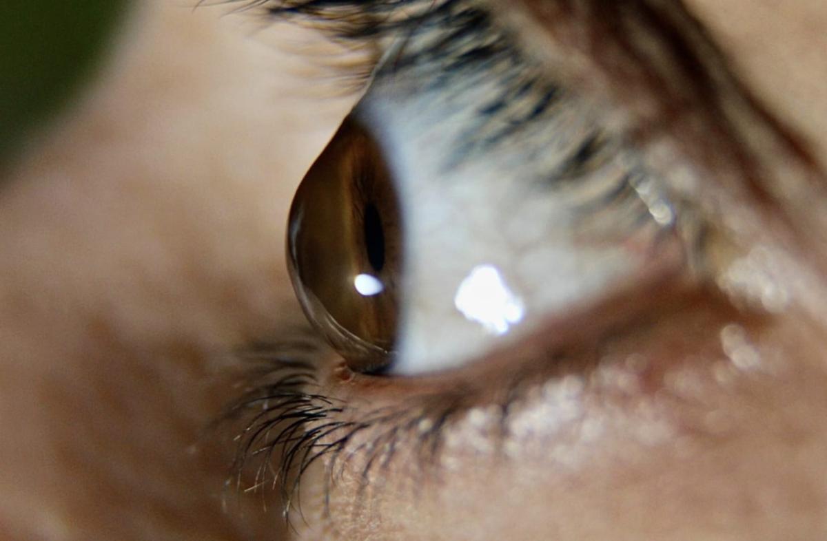 stigmiotypo othonis 2025 11 19 01.57.13