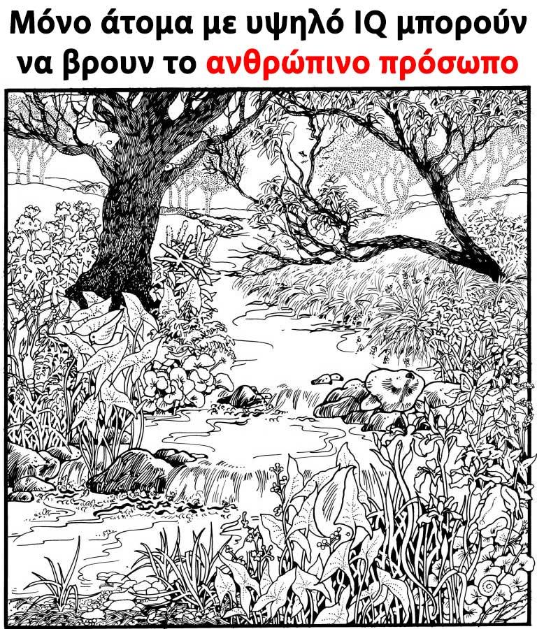 Μόνο άτομα με υψηλό IQ μπορούν να βρουν το ανθρώπινο πρόσωπο 1 1 9