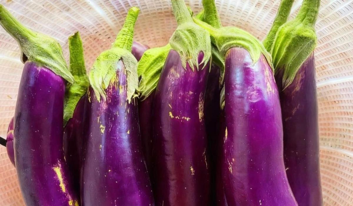 stigmiotypo othonis 2025 11 21 14.13.43