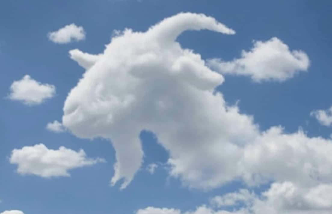 stigmiotypo othonis 2025 11 22 13.40.48