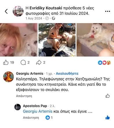 585324113 2277121509474388 4365471636277483618 n