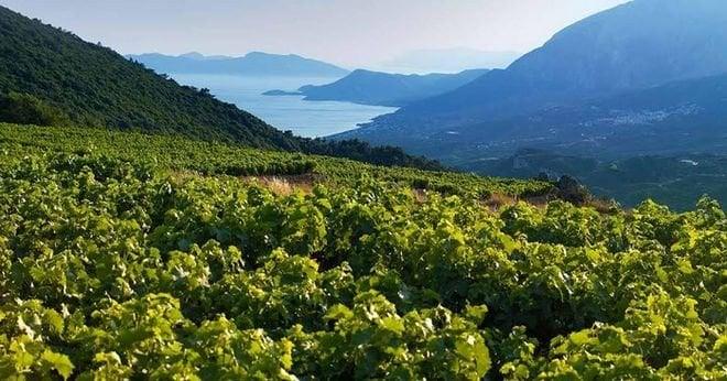 to elliniko poto apo ta sokakia toy peiraia poy katektise tin pagkosmia agora 3