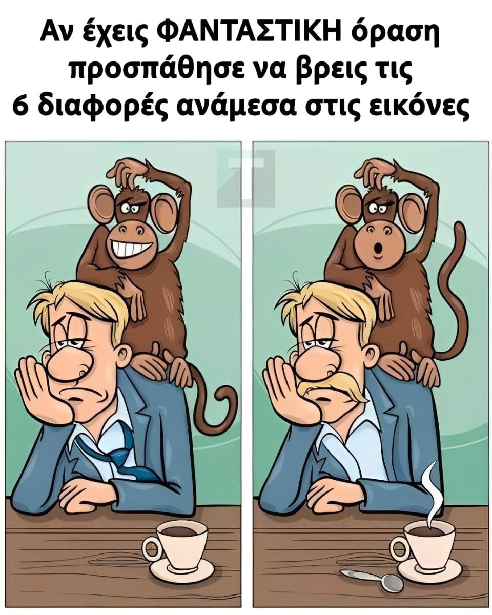 530371836 1157835859723054 3845692483210048826 n 1