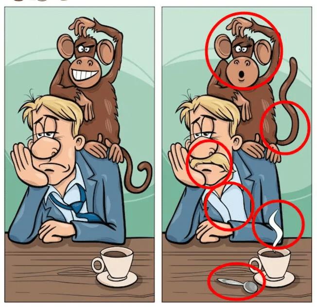 462546192 1960342647726603 5663120576226688702 n