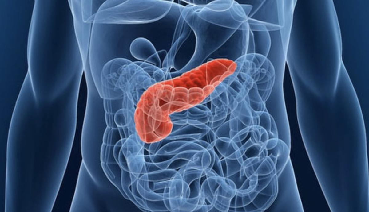 stigmiotypo othonis 2025 10 24 23.03.37