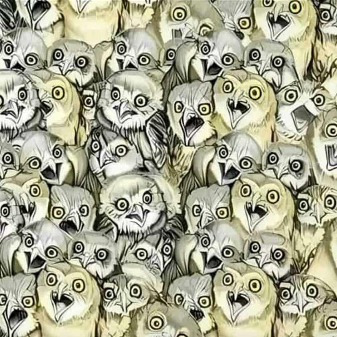 588295461 1149343594081099 2764839540221310202 n