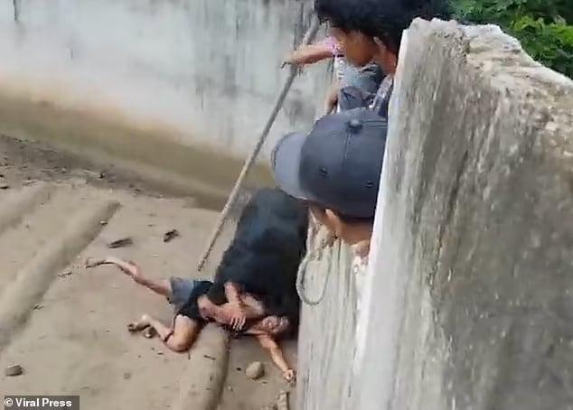 Άνδρας ξέφυγε από αρκούδα που τον «έτpωγε ζωντανó» 1 92336949 14110701 image m 35 1732206460266