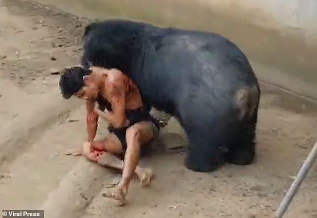 Άνδρας ξέφυγε από αρκούδα που τον «έτpωγε ζωντανó» 6 92336957 14110701 naiphum was pulled down into the enclosure and m 34 1732206407430