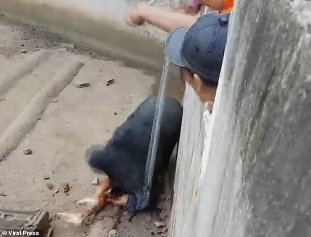 Άνδρας ξέφυγε από αρκούδα που τον «έτpωγε ζωντανó» 7 92337575 14110701 image m 45 1732206745935