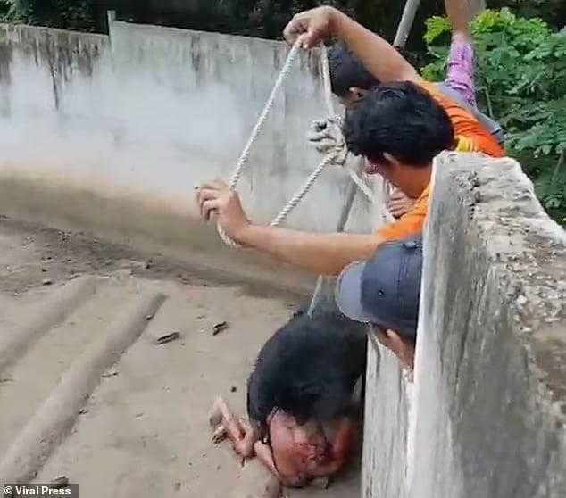 Άνδρας ξέφυγε από αρκούδα που τον «έτpωγε ζωντανó» 10 92337583 14110701 image m 31 1732206299834