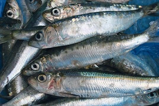 assets large t 11762 54248950