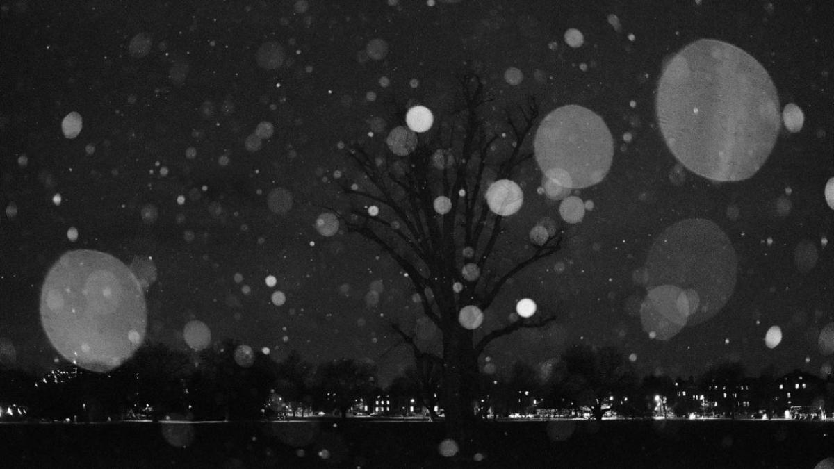 Τα τρία άτυχα ζώδια του Δεκεμβρίου - Γιορτές με γκρίνια, στρες και οικονομικά ζόρια 1 zodia dekembrios