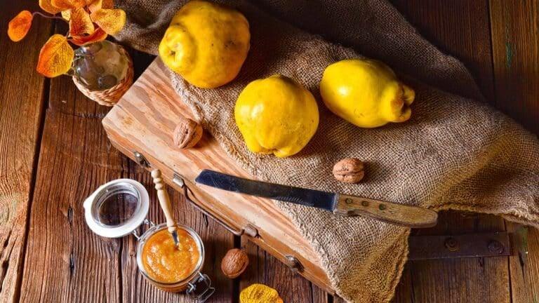 Ο καρπός της αγάπης, της γονιμóτητας και της ευτυχiας - Ρυθμiζει σάκχαρο και χοληστερóλη 1 20231101 6542a2d7236ba