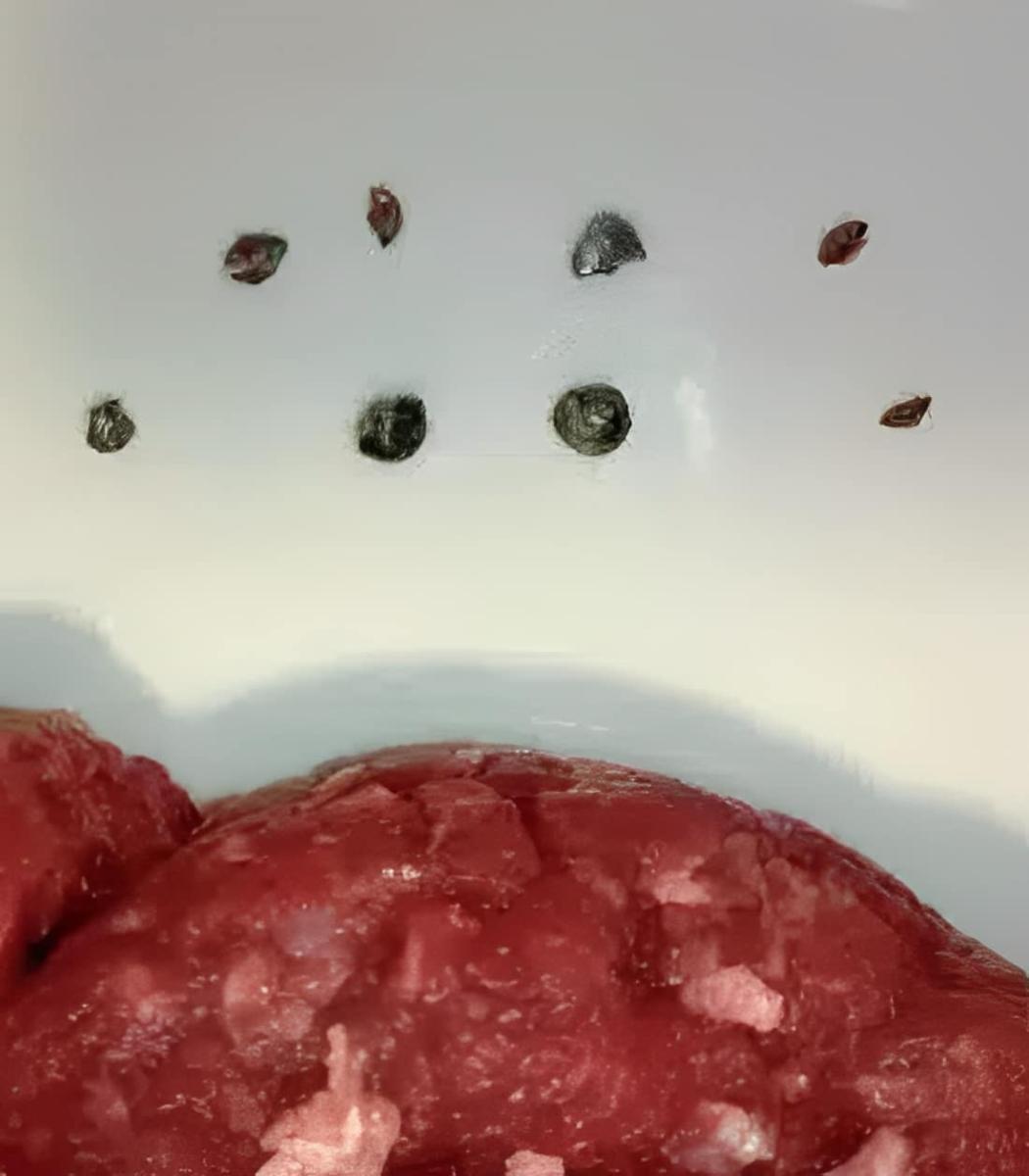 Αδιανόητο περιστατικό στη Λάρισα: Αγόρασε κιμά και δεν φαντάζεστε τι βρήκε μέσα 2 11 8