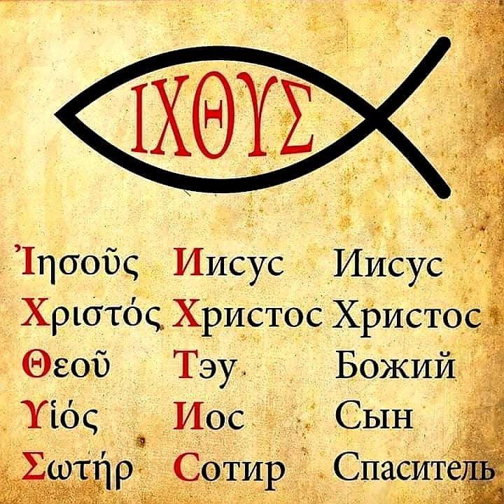 88321409 2668430139872573 7744509488538845184 n