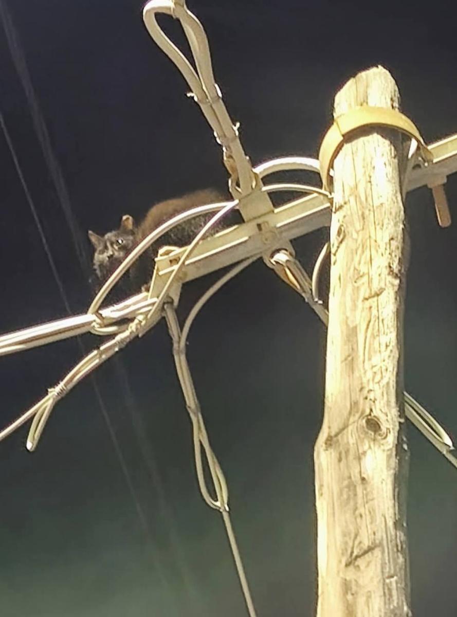 586167813 1543942316933505 9219641984554227432 n